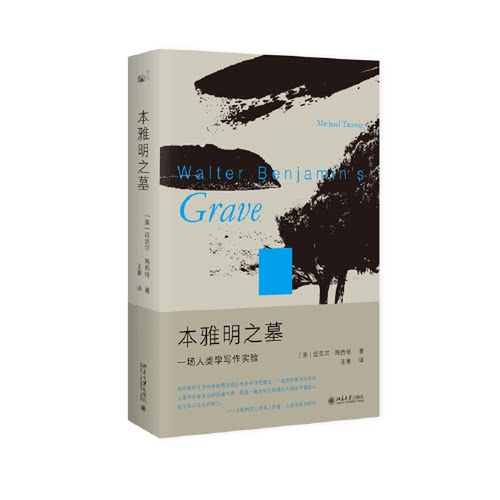 正版图书丨 本雅明之墓：一场人类学写作实验 迈克尔·陶西格带您聆听微妙之处，奇事不再遥远  王菁  译；迈克尔·陶西格（Michae