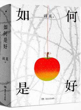 正版图书丨 如何是好  阎真 9787572609282