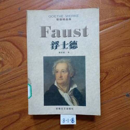 正版图书丨 浮士德  （德）歌德（Johann Wolfgang Goethe）著；杨武能译 9787539617107