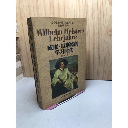 正版图书丨 威廉·迈斯特的学习时代  （德）歌德（Goethe）著；杨武能译 9787539618180