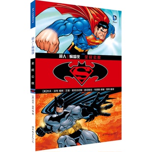 正版9成新图书丨 超人/蝙蝠侠:全民公敌 (美)洛布著 9787510078903