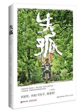 正版9成新图书丨 正版图书失孤 实拍图 当天发货  彭三源原著；刘程程改编 9787535479075