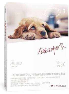 正版图书丨 在轮回中找你  （美）布鲁斯·卡梅隆著；王黎娜 9787540449308