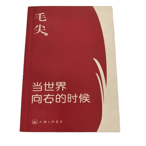 正版图书丨 当世界向右的时候  毛 9787542637246