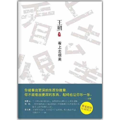 正版图书丨 看上去很美  王朔著 9787530212073