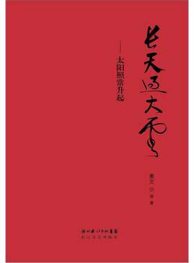 正版图书丨 长天过大云：太阳照常升起  姜文 9787535452351