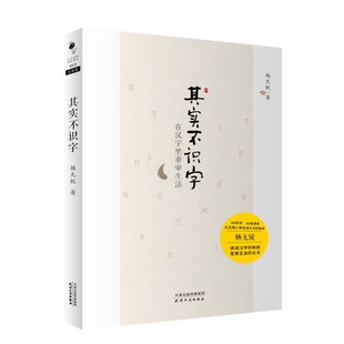 正版9成新图书丨 其实不识字：在汉字里重审生活  杨无锐著 9787201107455