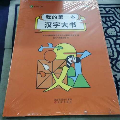 正版图书丨 我的第一本汉字大书  斑马AI课 9787571615215