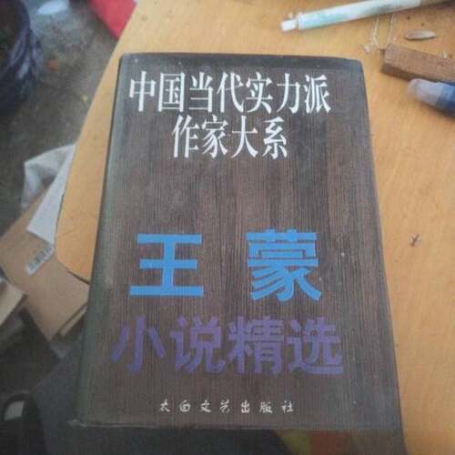 正版图书丨 王蒙小说精选  王山编 9787806051740