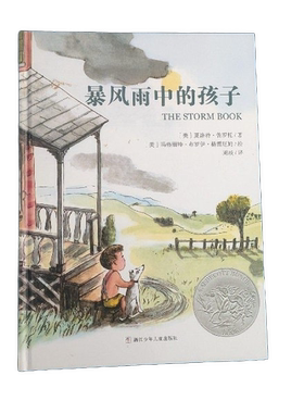 正版图书丨 暴风雨中的孩子  [美]夏洛特·佐罗托；周琰  译；[美]玛格丽特·布罗伊·格 9787534292989