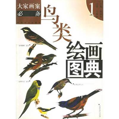 正版9成新图书丨 鸟类绘画图典1——大家画案必备  周彦生主编；王铁桥主译 9787540108359