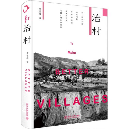 正版图书丨 治村  ??雪峰 9787301281185