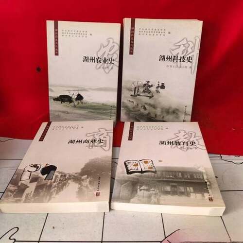 正版图书丨 湖州教育史  中共湖州市委宣传部，湖州市社会科学界联合会，湖州市社会科学院编；韩玉芬，高万湖著 9787807157977 - 封面