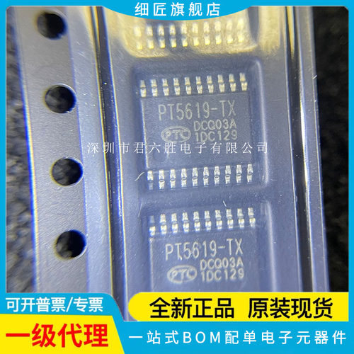 驱动芯片 PT5619 PT5619-TX封装TSSOP-20 库存可直拍