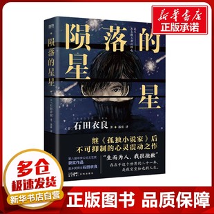 陨落的星星 (日)石田衣良 著 郭勇 译 外国小说文学 新华书店正版图书籍 花城出版社