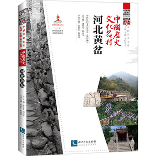 中国历史文化名村 河北黄岔 中国民间文艺家协会,潘鲁生,邱运华 编 地域文化 群众文化社科 新华书店正版图书籍 知识产权出版社