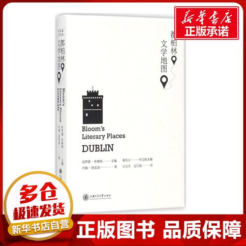 新华书店正版 外国文学理论