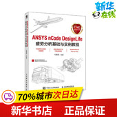 新 付稣昇 专业科技 CAE分析大系 ANSYS DesignLife疲劳分析基础与实例教程 编 nCode 计算机辅助设计和工程