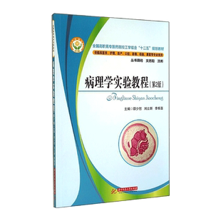 病理学实验教程(第2版)/邵少慰 邵少慰//刘立新//李振喜 著 大学教材大中专 新华书店正版图书籍 华中科技大学出版社