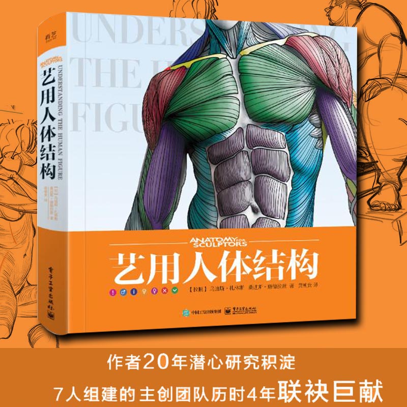 艺用人体结构 伯里曼人体美术素描画画静物透视画法初学者入门基础