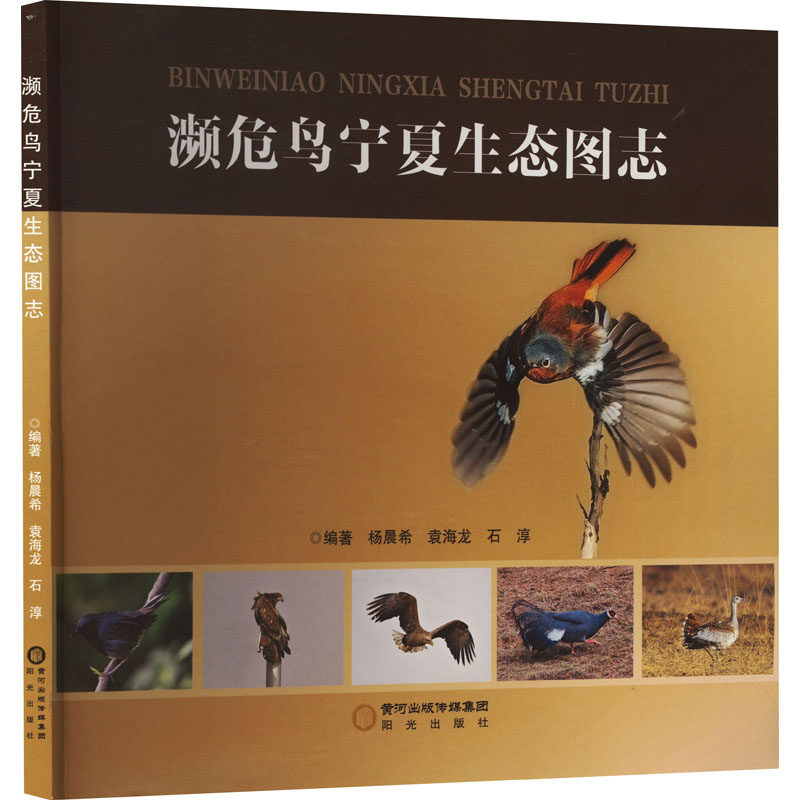 濒危鸟宁夏生态图志 杨希晨,袁海龙,石淳 编 鸟类专业科技 新华书店正版图书籍 阳光出版社