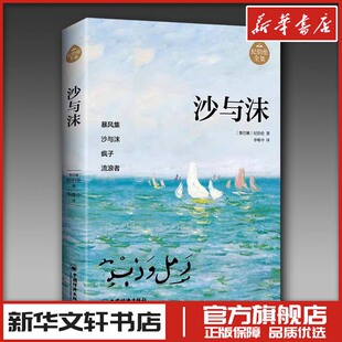 沙与沫 [黎巴嫩]纪伯伦著，李唯中译 著 文学其它文学 新华书店正版图书籍 中国经济出版社