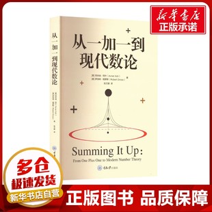 从一加一到现代数论 (美)阿夫纳·阿什,(美)罗伯特·格罗斯 著 张万雄 译 科普读物其它专业科技 新华书店正版图书籍