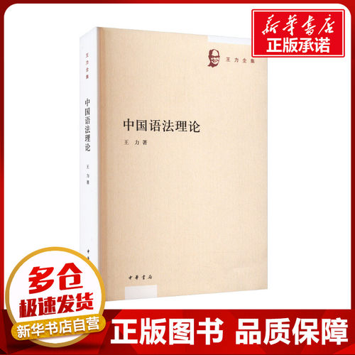 新华书店正版 中国现当代文学理论