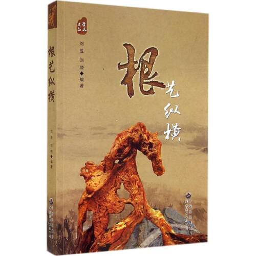 新华书店正版 民间工艺