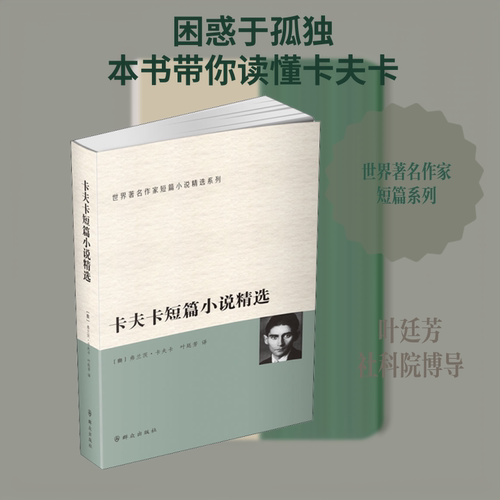 新华书店正版 外国现当代文学