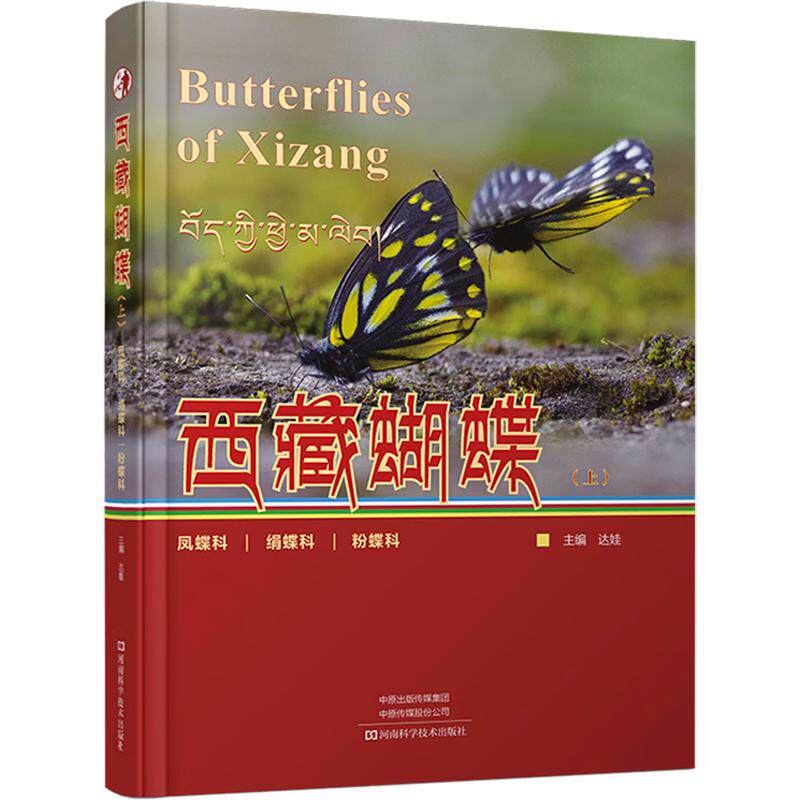 西藏蝴蝶(上):凤蝶科 绢蝶科 粉蝶科 达娃 主编 生命科学/生物学专业科技 新华书店正版图书籍 河南科学技术出版社