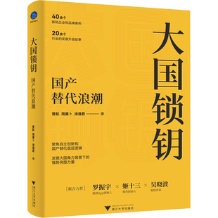 大国锁钥 国产替代浪潮 总结自主创新 国产替代产业规律 展现客观 真实的中国制造蜕变之路 发掘大国角力背景下的强势突围力量