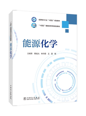 能源化学 王树荣 等 编 大学教材大中专 新华书店正版图书籍 中国电力出版社