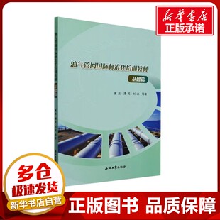油气管网国际标准化培训教材 基础篇 惠泉 等 著 石油 天然气工业专业科技 新华书店正版图书籍 石油工业出版社