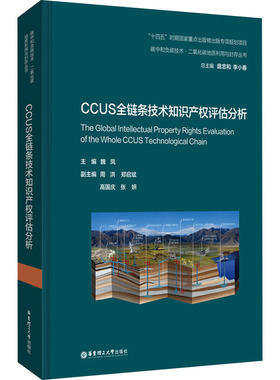 CCUS全链条技术知识产权评估分析 魏凤,周洪 等 编 大学教材社科 新华书店正版图书籍 华东理工大学出版社