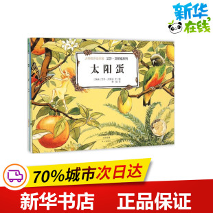 译 图书籍 艾莎·贝斯寇 新华书店正版 其它儿童读物少儿 著 文图;李娟 Beskow Elsa 瑞典 大师名作绘本馆.艾莎·贝斯寇系列