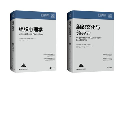 新华书店正版 管理理论