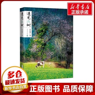 遇见树 苏沧桑 著 现代/当代文学文学 新华书店正版图书籍 人民文学出版社