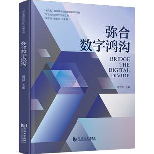 弥合数字鸿沟 盛雪锋,吴志强 编 经济理论专业科技 新华书店正版图书籍 同济大学出版社