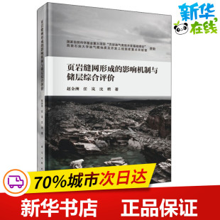 图书籍 社 任岚 石油 天然气工业专业科技 著 赵金洲 沈聘 科学出版 页岩缝网形成 新华书店正版 影响机制与储层综合评价