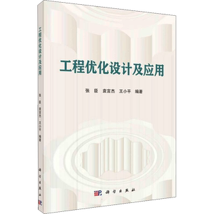 工程优化设计及应用 张臣,袁言杰,王小平 编 大学教材专业科技 新华书店正版图书籍 科学出版社