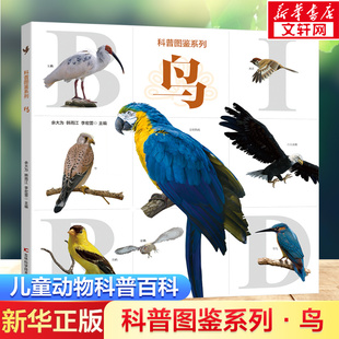 科普图鉴系列·鸟 鸟类图鉴知识百科全书彩图版6-9-12岁儿童鸟类科普百科读物寒暑期课外读物吉林科学技术出版社新华书店正版书籍