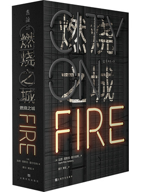 燃烧之城 (美)加思·里斯克·霍尔伯格 著 霍尔,黄瑶 译 外国小说文学 新华书店正版图书籍 上海文化出版社
