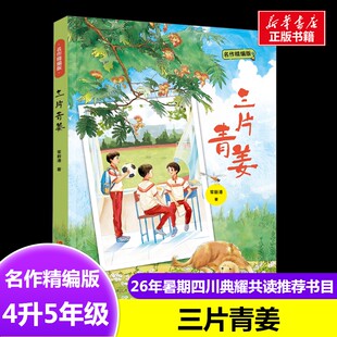 三片青姜名作精编版 常新港  著2026年暑假四川典耀共读4升5年级推荐书目儿童文学聪明的牧羊人老人的智慧三片青姜大林和小林