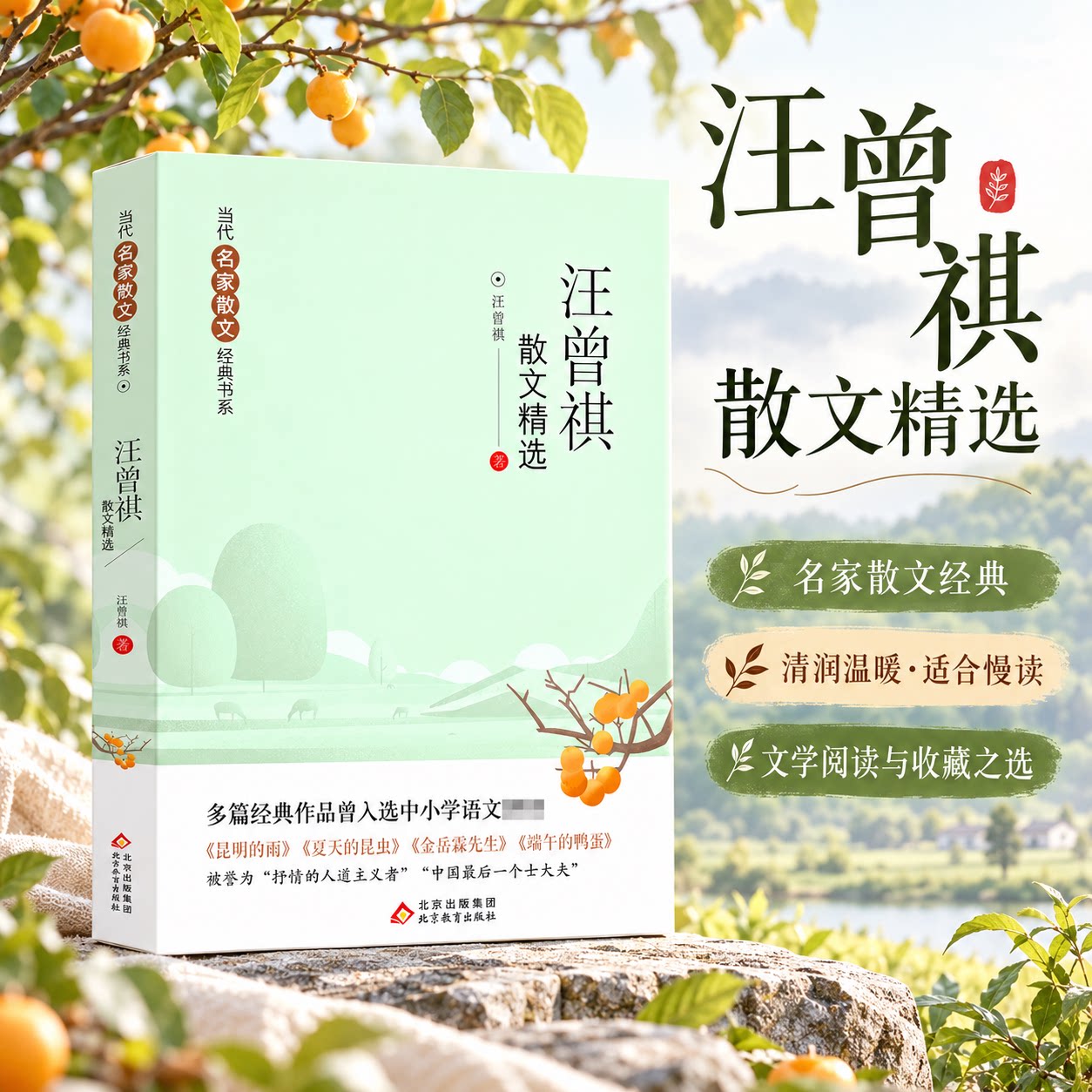 汪曾祺散文精选 汪曾祺 著 中国近代随笔少儿 新华书店正版图书籍 北京教育出版社