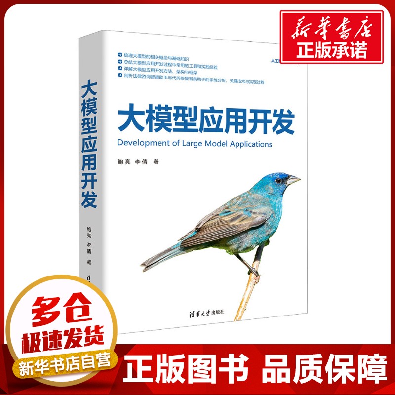 大模型应用开发 鲍亮,李倩 著 著 计算机控制仿真与人工智能专业科技 新华书店正版图书籍 清华大学出版社