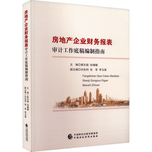 房地产企业财务报表审计工作底稿编制指南 崔东颖,张辅辙 编 统计 审计经管、励志 新华书店正版图书籍 中国财政经济出版社