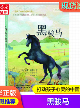 黑骏马(英)安娜·塞维尔 著 马爱农 译打动孩子心灵的动物经典 儿童文学名著二三年级四五六年级小学生课外书寒暑假推荐阅读物故事