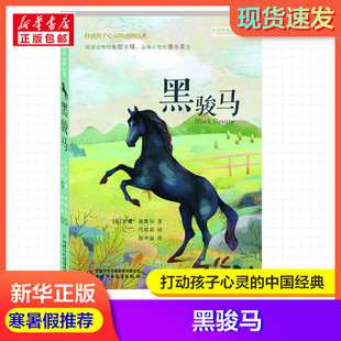 黑骏马(英)安娜·塞维尔 著 马爱农 译打动孩子心灵的动物经典 儿童文学名著二三年级四五六年级小学生课外书寒暑假推荐阅读物故事