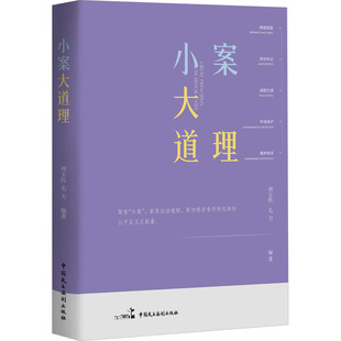 小案大道理 刘玉民,毛力 编著 编 法律知识读物社科 新华书店正版图书籍 中国民主法制出版社